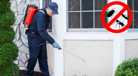 Otlukbeli Karınca İlaçlama böcek ilaçlama ve haşere kontrolü — ilaclama-tr.com